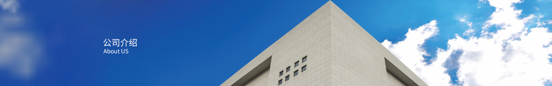 企業(yè)介紹
